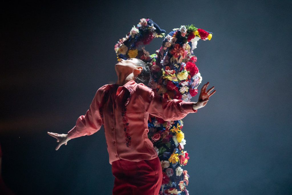 Daniel_Domolky_FRIDA